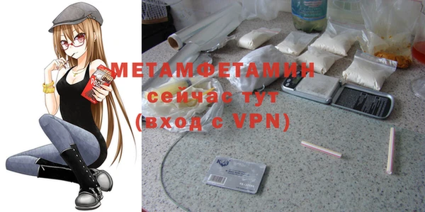 индика Бронницы