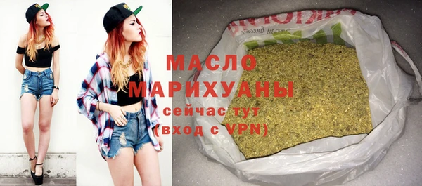 индика Бронницы