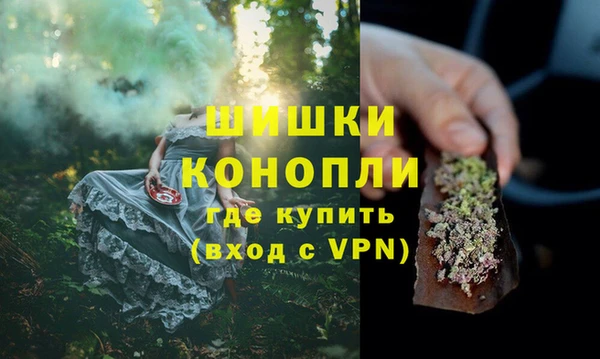 первитин Богданович