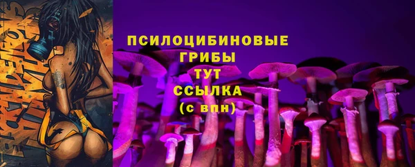 индика Бронницы