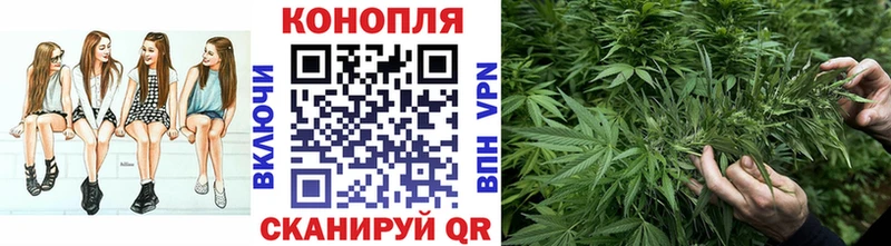 Бошки марихуана Amnesia  Купить закладки  Армавир 